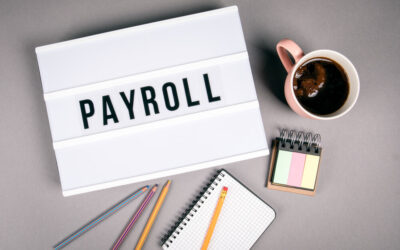 New Payroll Report