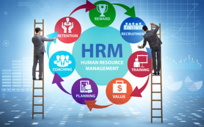 Utilizing HRM to Create An Organizational Culture Attractive to Talent